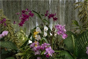 Путешествие на Шри-Ланку, ноябрь 2013, часть 2