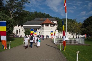 Путешествие на Шри-Ланку, ноябрь 2013, часть 2