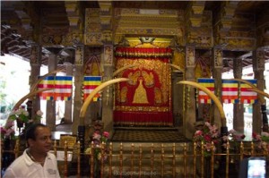 Путешествие на Шри-Ланку, ноябрь 2013, часть 2