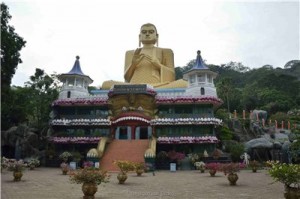 Путешествие на Шри-Ланку, ноябрь 2013 Путешествие на Шри-Ланку, ноябрь 2013