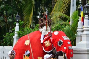 Путешествие на Шри-Ланку, ноябрь 2013, часть 2