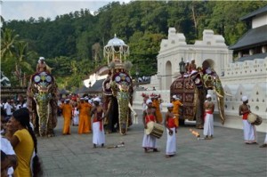 Путешествие на Шри-Ланку, ноябрь 2013, часть 2