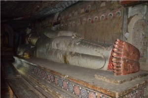 Путешествие на Шри-Ланку, ноябрь 2013 Путешествие на Шри-Ланку, ноябрь 2013