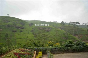 Путешествие на Шри-Ланку, ноябрь 2013, часть 2