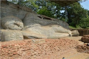Путешествие на Шри-Ланку, ноябрь 2013 Путешествие на Шри-Ланку, ноябрь 2013