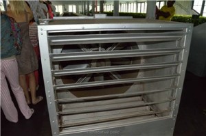 Путешествие на Шри-Ланку, ноябрь 2013, часть 2