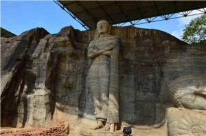 Путешествие на Шри-Ланку, ноябрь 2013 Путешествие на Шри-Ланку, ноябрь 2013