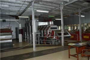 Путешествие на Шри-Ланку, ноябрь 2013, часть 2