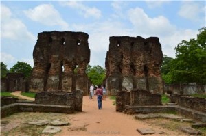 Путешествие на Шри-Ланку, ноябрь 2013 Путешествие на Шри-Ланку, ноябрь 2013