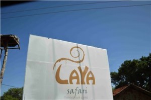 Путешествие на Шри-Ланку, ноябрь 2013, часть 2