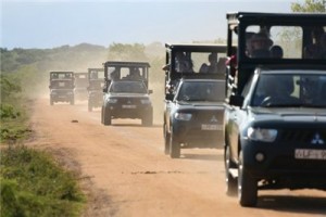 Путешествие на Шри-Ланку, ноябрь 2013, часть 2