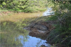 Путешествие на Шри-Ланку, ноябрь 2013, часть 2