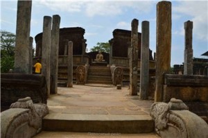 Путешествие на Шри-Ланку, ноябрь 2013 Путешествие на Шри-Ланку, ноябрь 2013