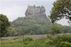 Путешествие на Шри-Ланку, ноябрь 2013 Путешествие на Шри-Ланку, ноябрь 2013