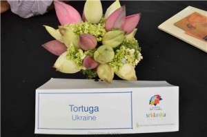 Путешествие на Шри-Ланку, ноябрь 2013 Путешествие на Шри-Ланку, ноябрь 2013