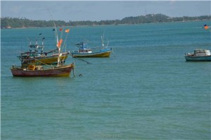 Путешествие на Шри-Ланку, ноябрь 2013, часть 2