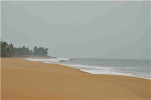 Путешествие на Шри-Ланку, ноябрь 2013, часть 2