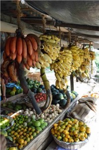 Путешествие на Шри-Ланку, ноябрь 2013, часть 2