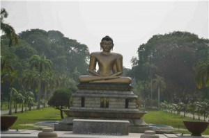 Путешествие на Шри-Ланку, ноябрь 2013 Путешествие на Шри-Ланку, ноябрь 2013