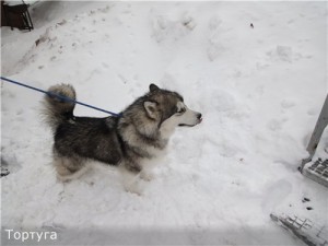 Андорра - скучать запрещается Андорра - скучать запрещается