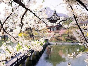 Факты о Южной Корее Факты о Южной Корее