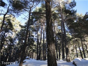 Андорра - скучать запрещается Андорра - скучать запрещается