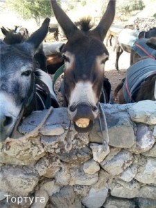 Отдых на Кипре в мае 2014