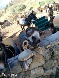 Отдых на Кипре в мае 2014