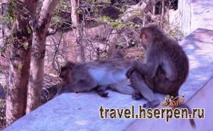 Достопримечательности Бали: вулканы, пещеры, парки и храмы