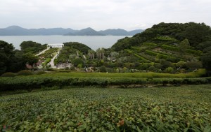 Идеи для отдыха в Южной Корее Идеи для отдыха в Южной Корее