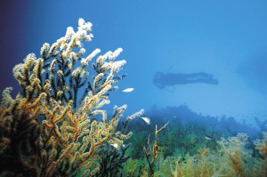 Идеи для отдыха в Южной Корее Идеи для отдыха в Южной Корее