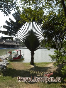 Путевые и непутевые заметки о Таиланде Путевые и непутевые заметки о Таиланде