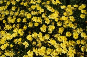 Кипр - остров любви и красоты. Отдых на Кипре в апреле 2014, часть 1