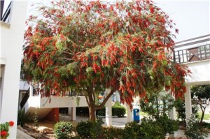 Кипр - остров любви и красоты. Отдых на Кипре в апреле 2014, часть 1