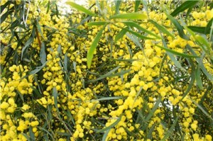 Кипр - остров любви и красоты. Отдых на Кипре в апреле 2014, часть 1