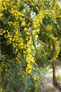 Кипр - остров любви и красоты. Отдых на Кипре в апреле 2014, часть 1