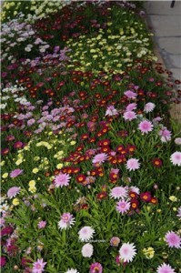 Кипр - остров любви и красоты. Отдых на Кипре в апреле 2014, часть 1