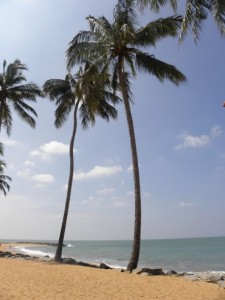 Планета Шри-Ланка Планета Шри-Ланка