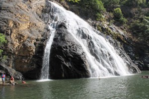 Летим зимовать в Гоа Летим зимовать в Гоа
