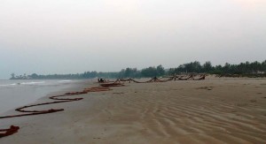 Чем заняться на зимовке в Гоа: о пище духовной и не только Чем заняться на зимовке в Гоа: о пище духовной и не только