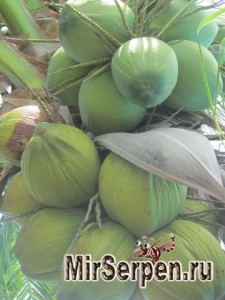 Достоинства тайской косметики