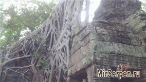 Храм Та Пром, Ангкор, провинция Сиемреап, Камбоджа Храм Та Пром, Ангкор, провинция Сиемреап, Камбоджа