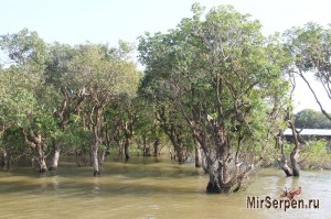Озеро Тонлесап – жизнь на воде Озеро Тонлесап – жизнь на воде