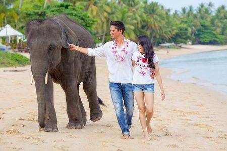 Опыт общения с тайками на сайтах знакомств Опыт общения с тайками на сайтах знакомств