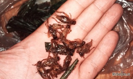 Путешествие в Таиланд без возврата: Октябрь 2013 Путешествие в Таиланд без возврата: Октябрь 2013