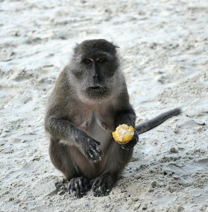 Острова Пханг Нга, Таиланд: февраль-март 2012 Острова Пханг Нга, Таиланд: февраль-март 2012