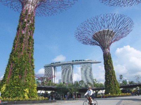 Сингапур: Тотальный диктат или неудобства во имя общего блага?