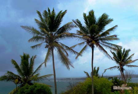 Шри-Ланка - жемчужина в короне королей Шри-Ланка - жемчужина в короне королей