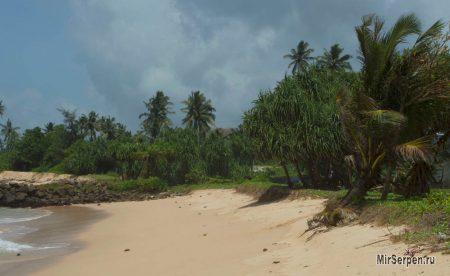 Шри-Ланка - жемчужина в короне королей Шри-Ланка - жемчужина в короне королей