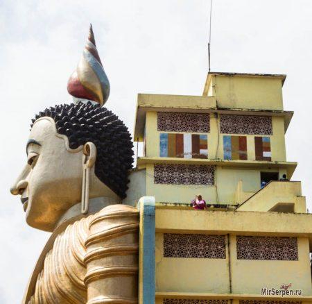 Шри-Ланка - жемчужина в короне королей Шри-Ланка - жемчужина в короне королей